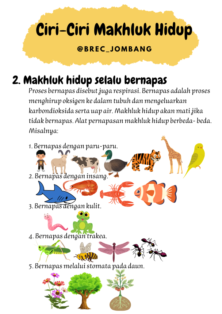 5 Contoh Soal Ipa Kelas 3 Ciri Makhluk Hidup Yang Wajib Dikuasai Sebelum Ulangan