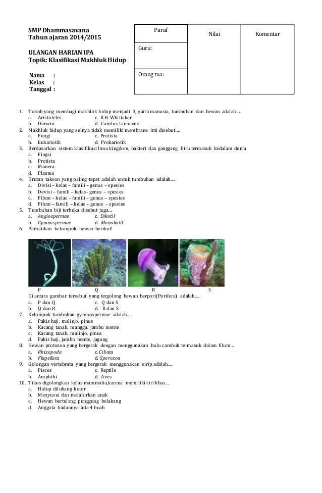 Contoh Soal Ipa Kelas 7 Dalchaebi