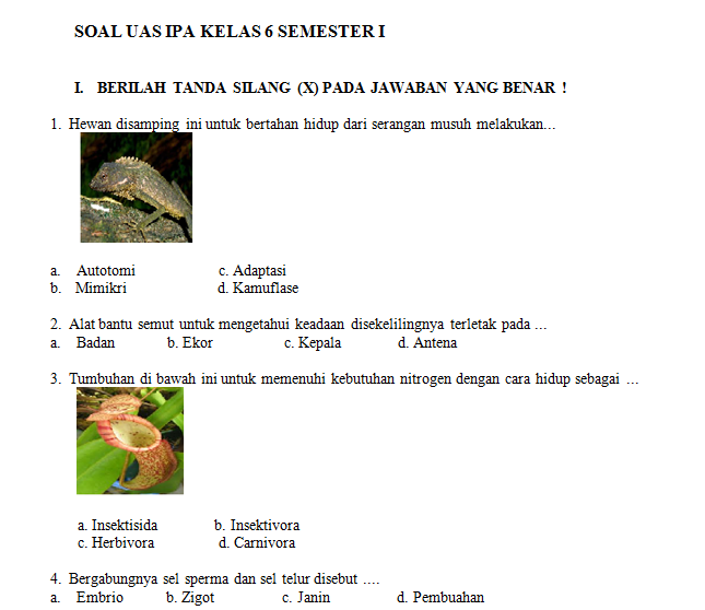 Terbukti! Contoh Soal UAS 1 IPA Kelas 6 KTSP Ini Bikin Nilai Naik Seketika